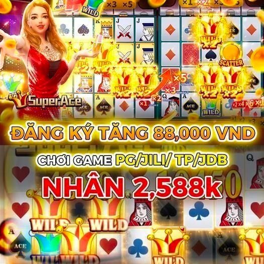 vwinvn
